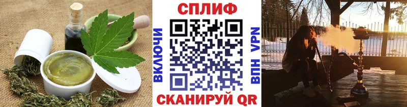 Купить где  Злынка  Cannafood конопля 