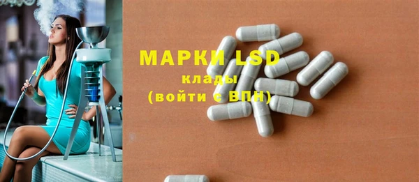 шишки Переславль-Залесский