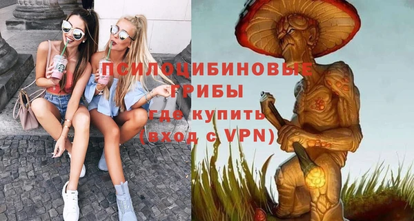 шишки Переславль-Залесский