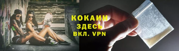 шишки Переславль-Залесский
