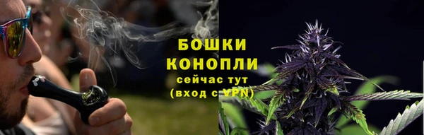шишки Переславль-Залесский