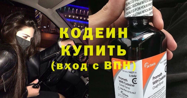 шишки Переславль-Залесский