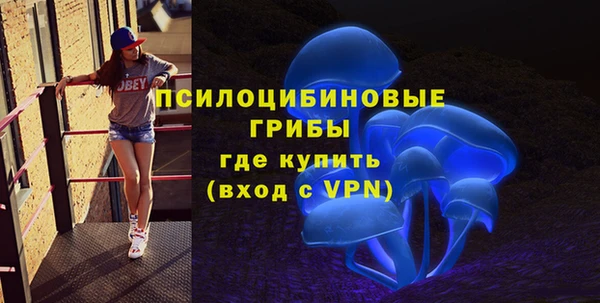 синтетический гашиш Пестово