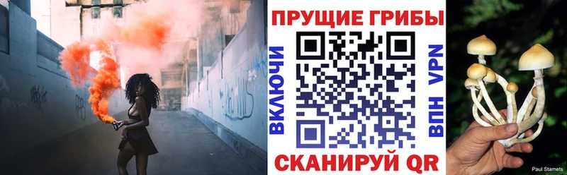 Галлюциногенные грибы мухоморы  Купить  Злынка 