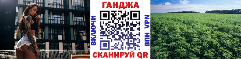 Купить где  Злынка  Конопля White Widow 